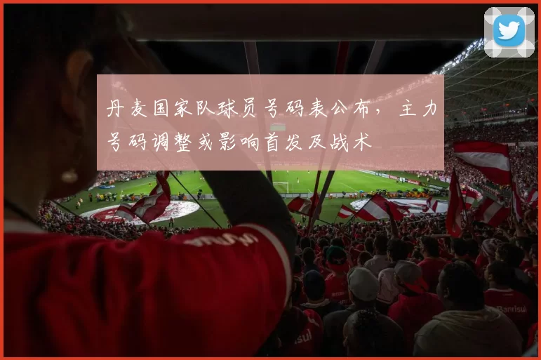 丹麦国家队球员号码表公布，主力号码调整或影响首发及战术