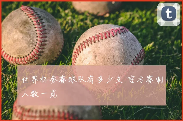 世界杯参赛球队有多少支 官方赛制人数一览