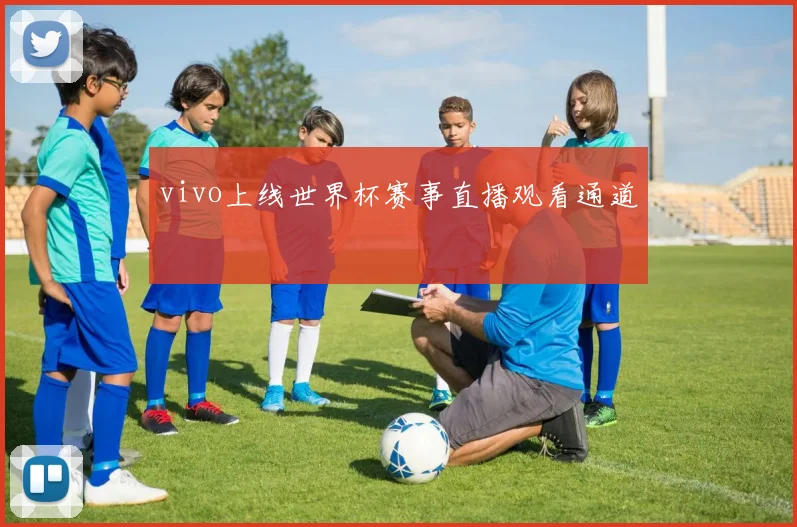 vivo上线世界杯赛事直播观看通道